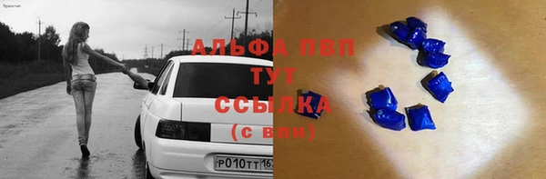 сатива Алексеевка