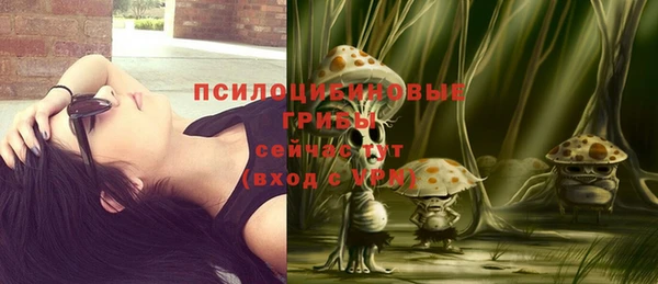 сатива Алексеевка