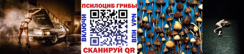 Галлюциногенные грибы Magic Shrooms  цена наркотик  Юрьевец 